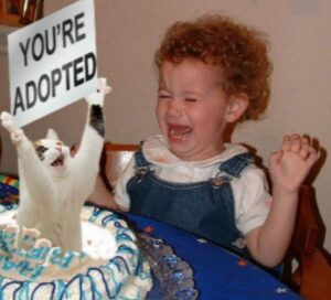 A smiling child proudly shows a sign stating "You're adopted," set against a backdrop of birthday celebrations.