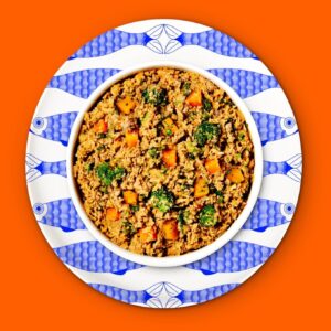 A plate filled with a nutritious dog food dish, showcasing a variety of ingredients for canine health and enjoyment.