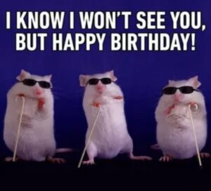 Three mice wearing sunglasses joyfully display sticks saying, "I know I won't see you, but happy birthday" in a funny meme.